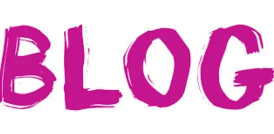 Critical Blog Backup Lessons from a Real Website Crash A frustrated blogger looking at a crashed website screen, highlighting the importance of a blog backup and recovery strategies