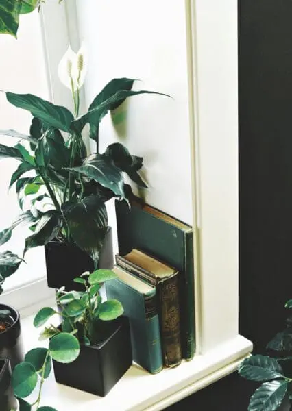 4 Garden Home Office Ideas That Bring You Peace and Productivity Choosing the right indoor plants (like a Peace Lily or Mother-in-law's tongue) might also help purify the air in your garden home office.